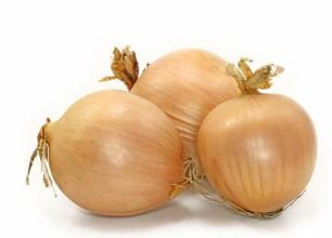 onion on white background, close up